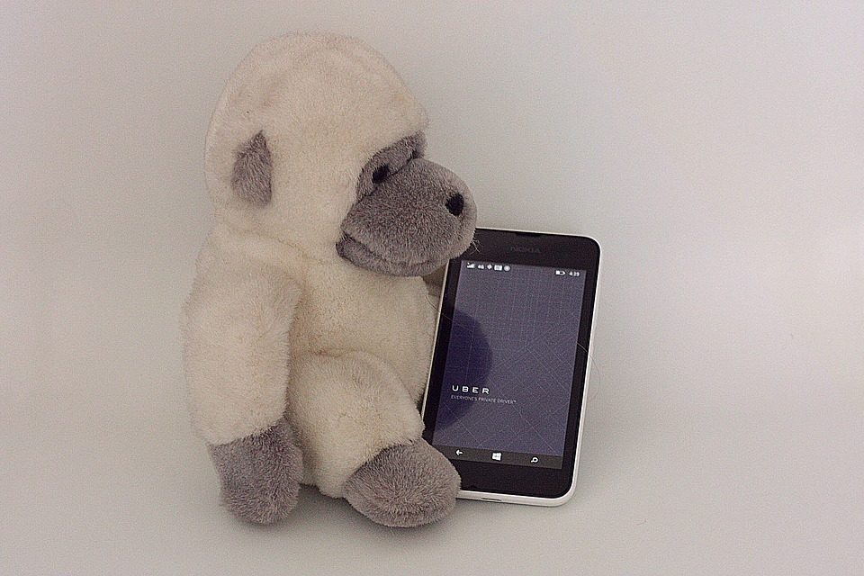 Foto de um macaco com um celular no app Uber